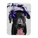 Search for blue black rectangular magnets Antique