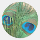 Search for peafowl stickers Blue