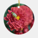 Search for polka christmas tree decorations Insect