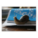 Search for shining sun postcards Vacation