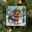 Search for weiner dog christmas tree decorations Winter