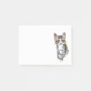 Search for pet sitter post it notes Cat