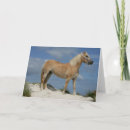 Search for haflinger cards Beach