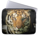 Search for dangerous animals electronics Tiger