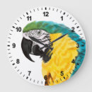 Search for parrot clocks Animal
