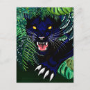 Search for black panther postcards Cat