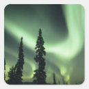 Search for aurora stickers Travel