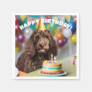 Search for cockapoo home living Cute