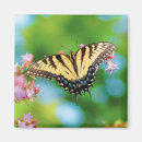 Search for swallowtail butterfly magnets Pretty