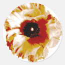 Search for orange and white stickers Beautiful