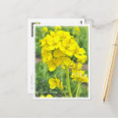 Search for flowering postcards Yellow
