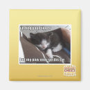 Search for bigger magnets I can has cheezburger
