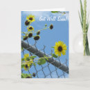 Search for well soon cards Daisies