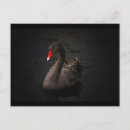 Search for swims postcards Bird
