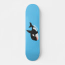 Search for killer whale skateboards Animal