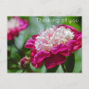 Search for thinking photography Garden