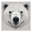Search for polar bear posters Animals
