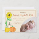 Search for pumpkin birth announcement cards Autumn