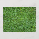 Search for mowing invitations Landscaping