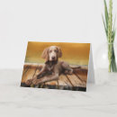 Search for weimaraner cards Puppy