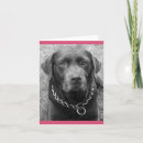 Search for chocolate labrador retriever cards Dog