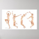 Search for anatomy posters Skeleton