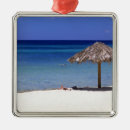 Search for aruba christmas tree decorations Landscape