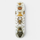 Search for arachnid skateboards Black