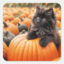 Search for black kittens stickers Cute