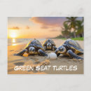 Search for sea green postcards Beach