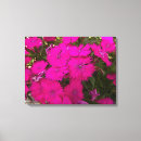 Search for bright canvas prints Pink