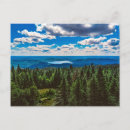 Search for quebec Trees