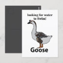 Search for honk postcards Bird