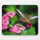 Search for one flower mousepads Butterfly