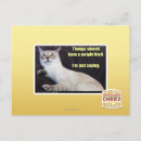 Search for weight postcards I can has cheezburger