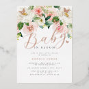 Search for rose bloom Baby in bloom