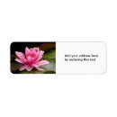 Search for lillies return address labels Lilly