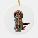 Search for golden doodle christmas tree decorations Dog