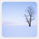 Search for large format stickers Tree