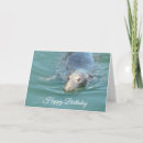 Search for seal birthday cards Animals