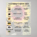 Search for pollination art Bees