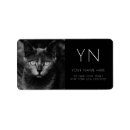 Search for black cat photography Cats