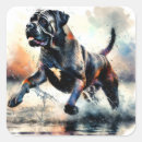 Search for cane stickers Watercolor