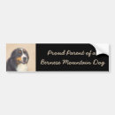 Search for bernese bumper stickers Berner