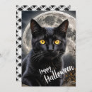 Search for cats halloween cards Full moon