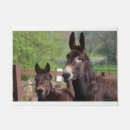 Search for the mulee home living Donkey