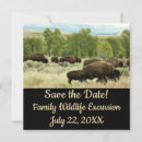 Search for yellowstone invitations Wyoming