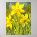 Search for yellow daffodil flowers posters Daffodils