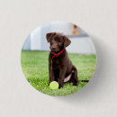 Search for playing dog badges Puppy