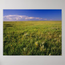 Search for remote posters North america